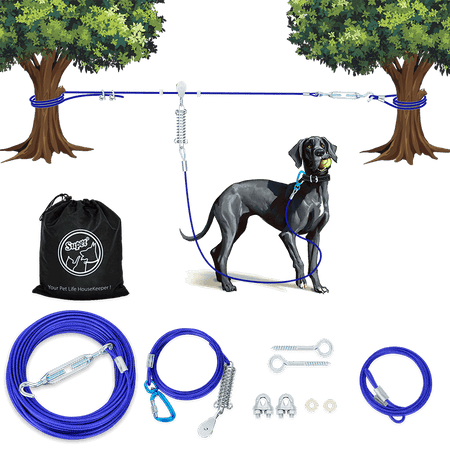 Dog Runner_blue-Supet