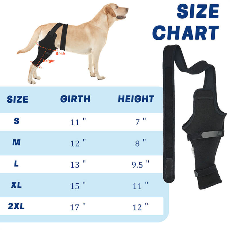 Dog Single Rear Leg Sleeve_size-supet