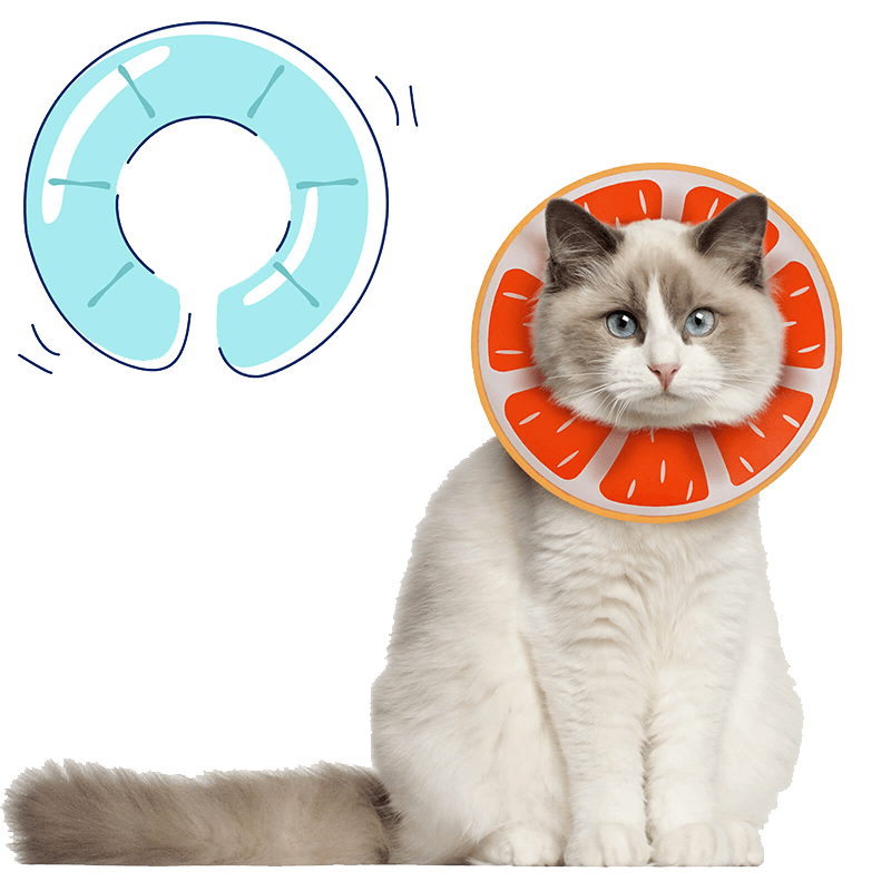 Inflatable Cat Cone_orange-Supet