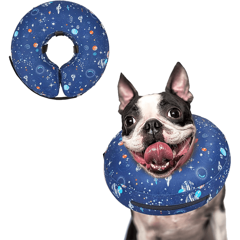 Inflatable Dog Cone_star-Supet