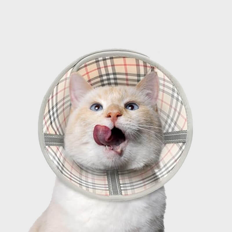 Mesh Cat Cone5-supet