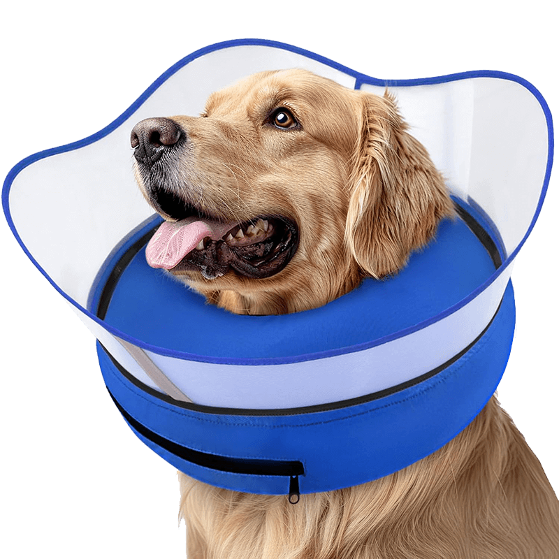 Raised Inflatable Dog Cone_blue-supet