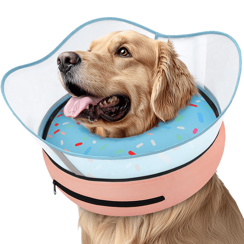 Raised Inflatable Dog Cone_donut blue-supet