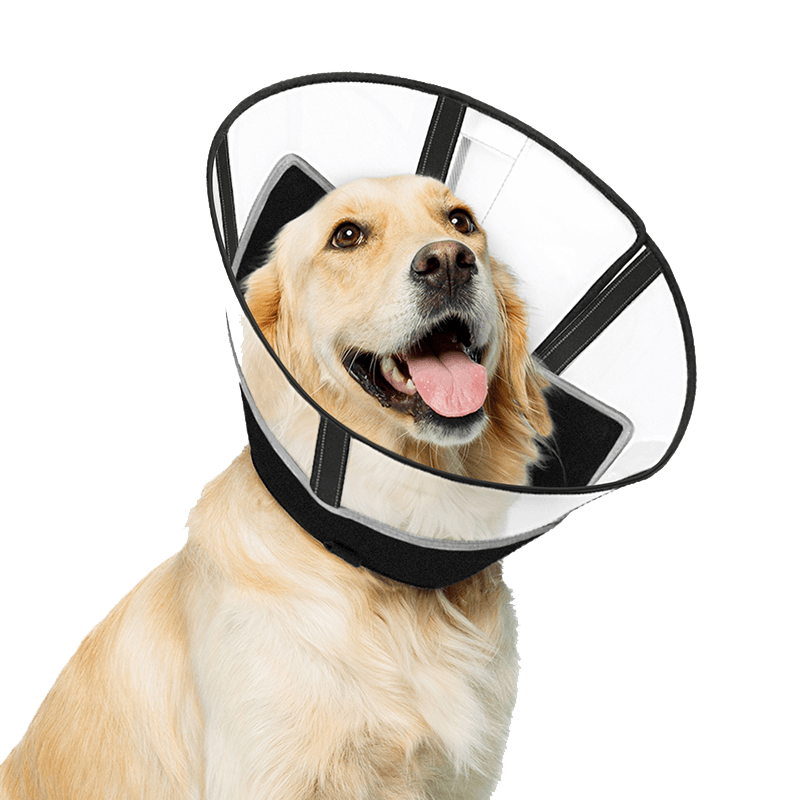 Soft Dog Cone Collar - Supet