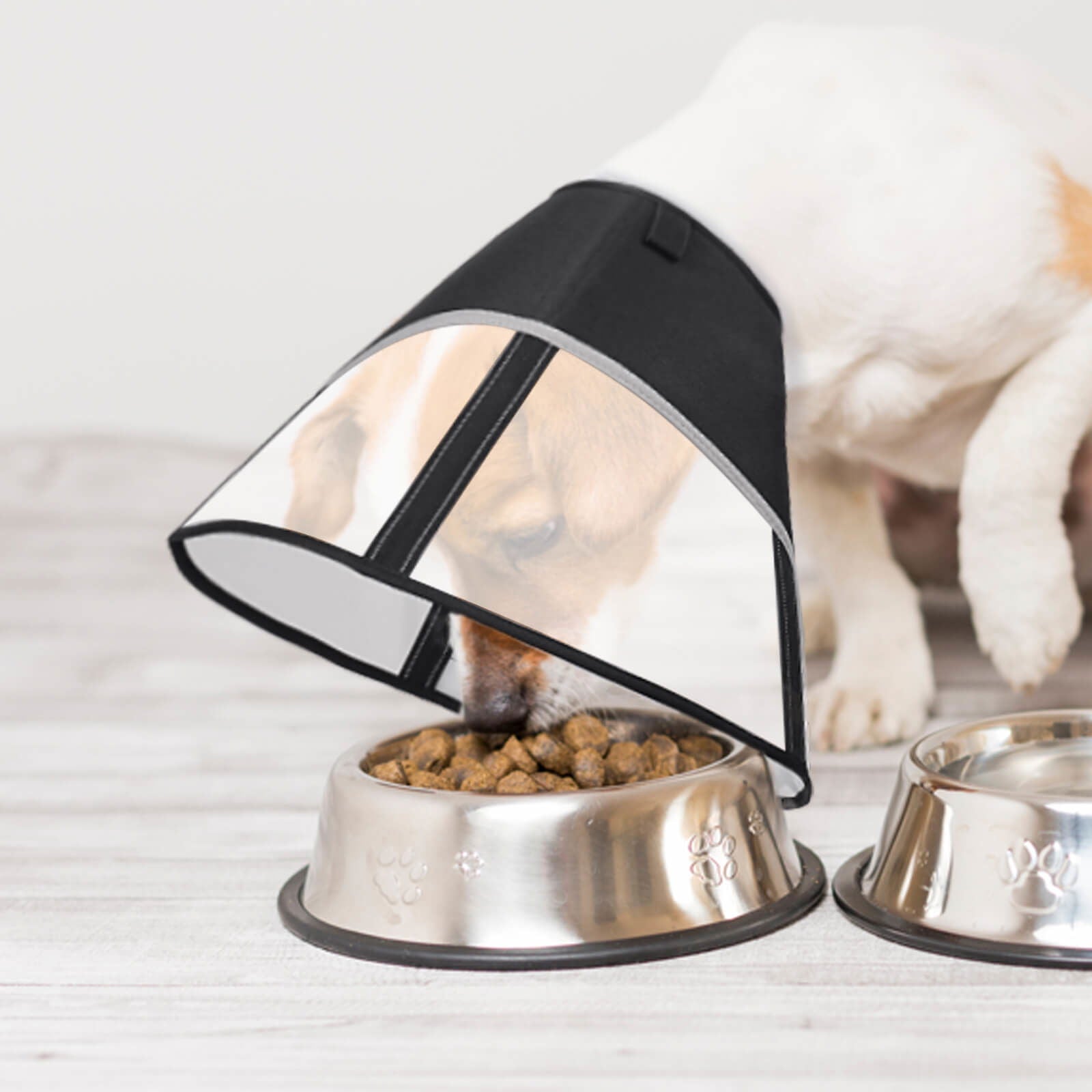 Supet Soft Dog Cone Collar - Supet