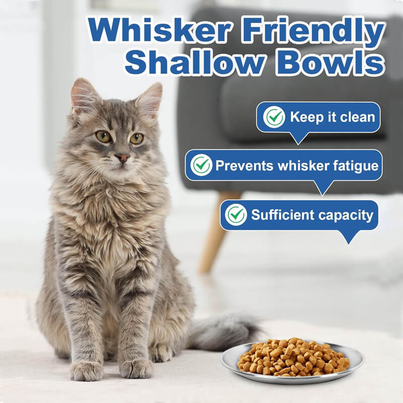 Supet Stainless Steel Cat Bowl