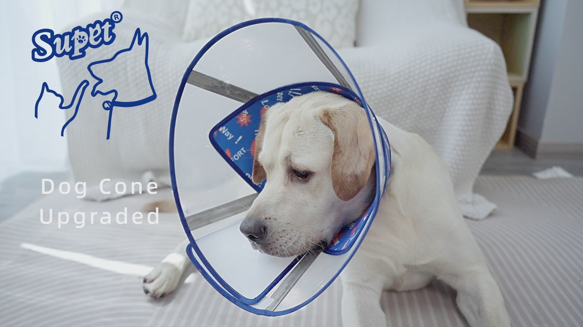 Soft Dog Cone Collar_video-supet