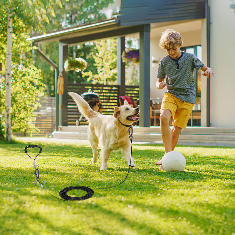 Dog Tie Out Cable and Stake set-Supet