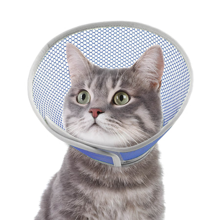 Waterproof Cat Cone_blue-supet