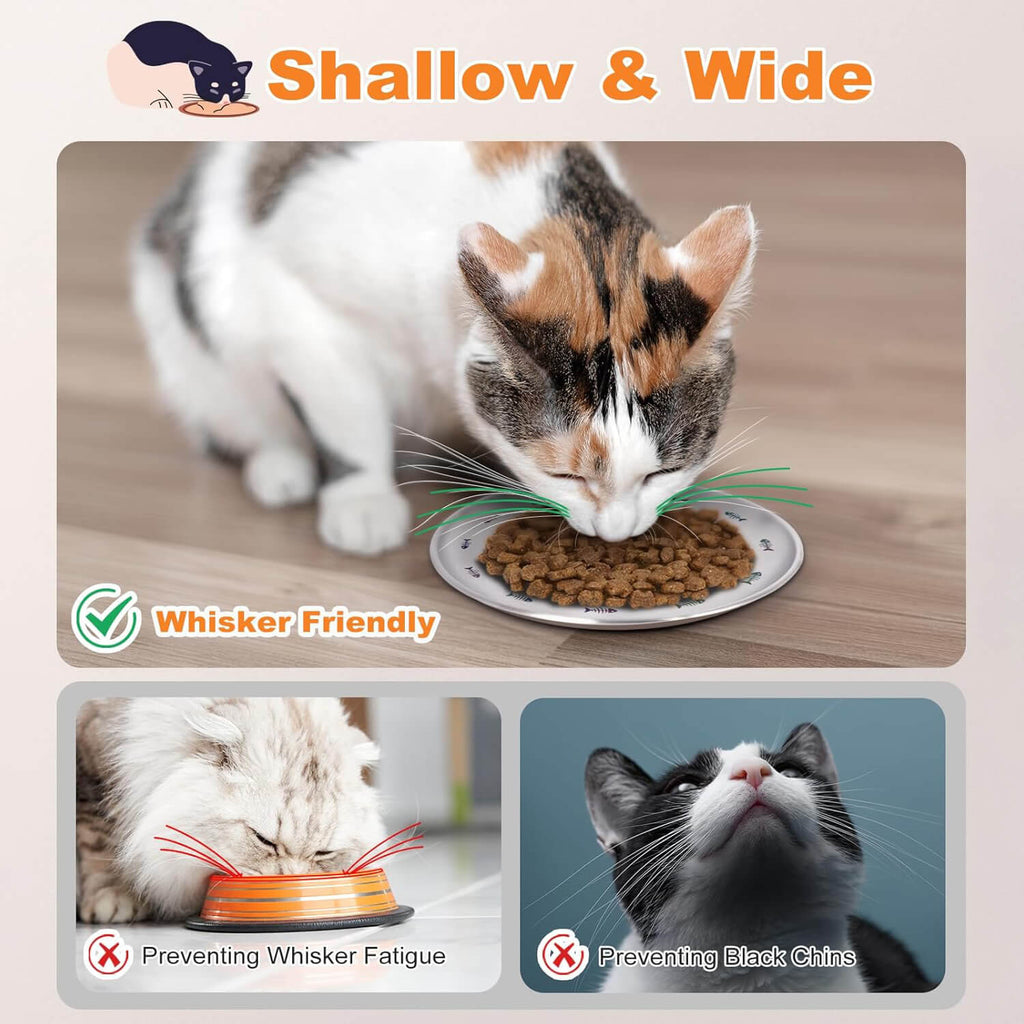 cat plate4-supet
