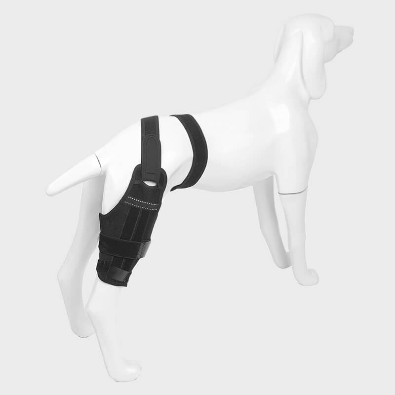 dog single knee brace1-supet