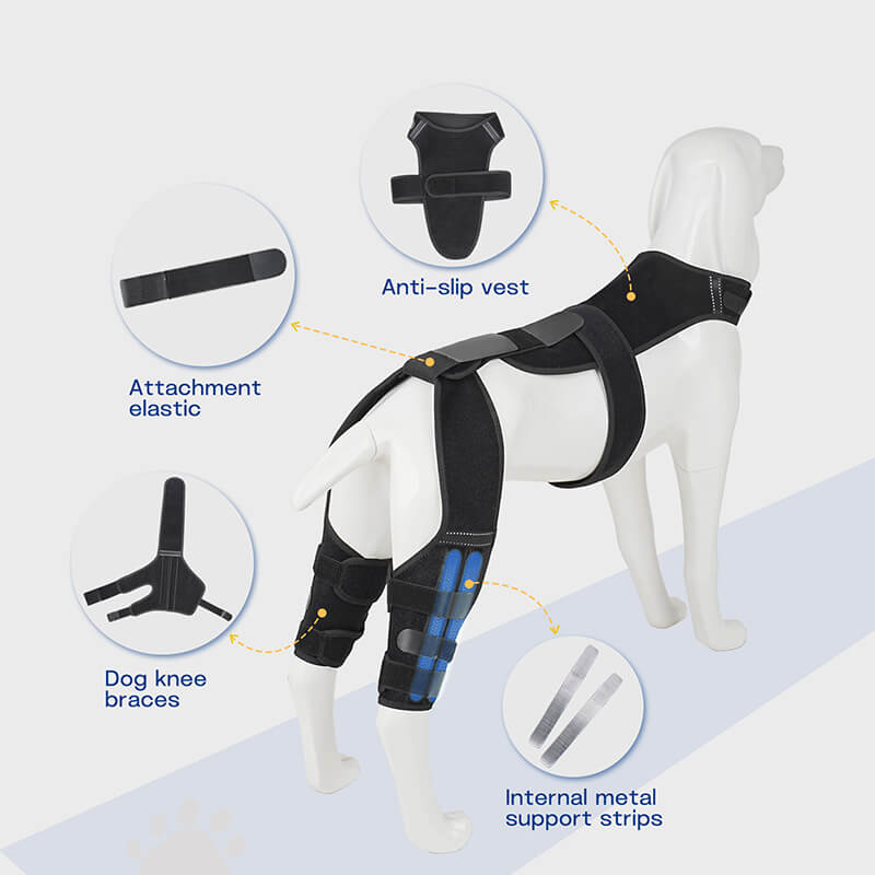 Supet Dog Double Knee Brace for Torn ACL Hind Legs