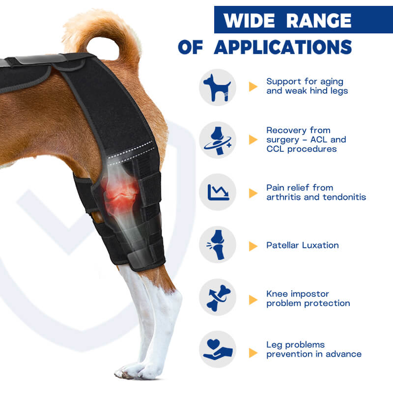 Supet Dog Double Knee Brace for Torn ACL Hind Legs